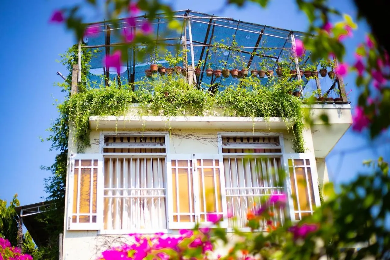 Skybird Homestay Hoi An