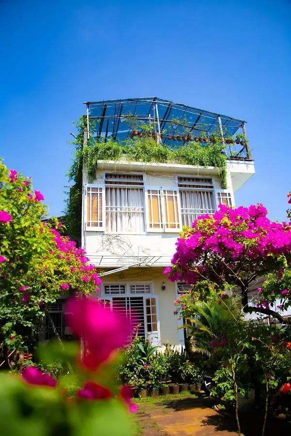 Skybird Homestay Hoi An 0*,