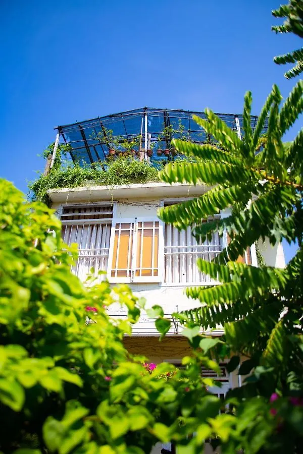 Skybird Homestay Hoi An