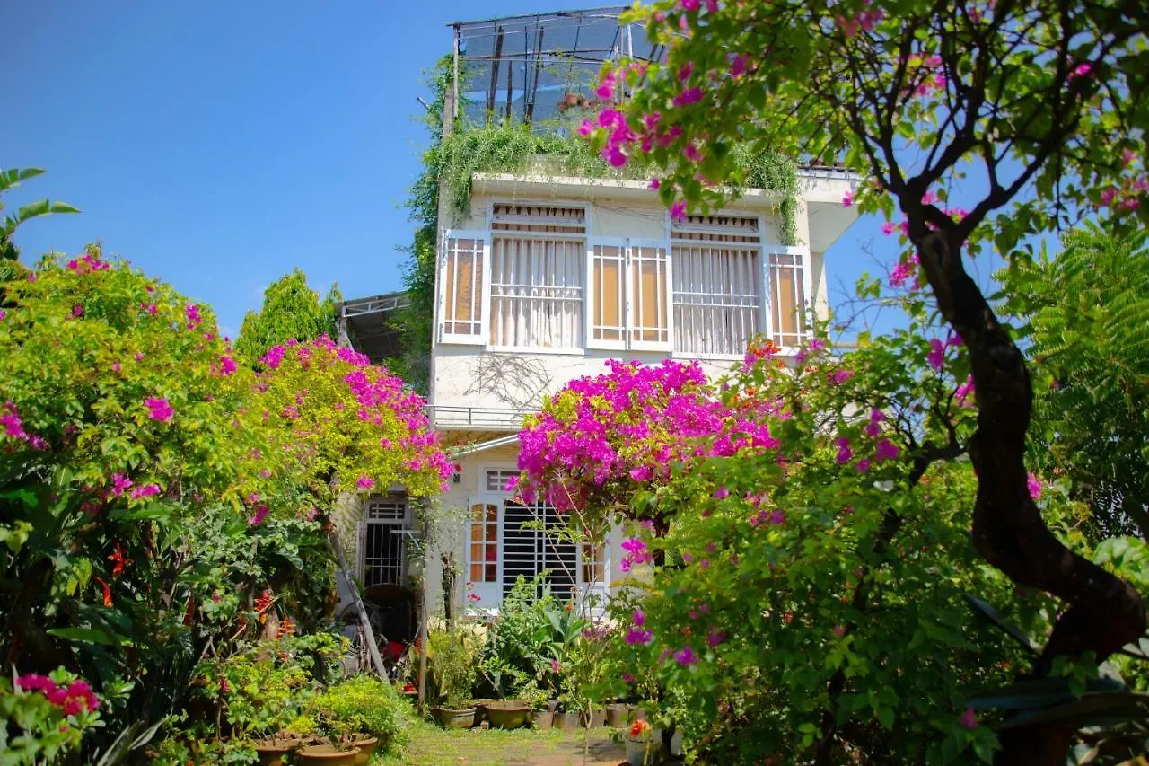Skybird Homestay Hoi An