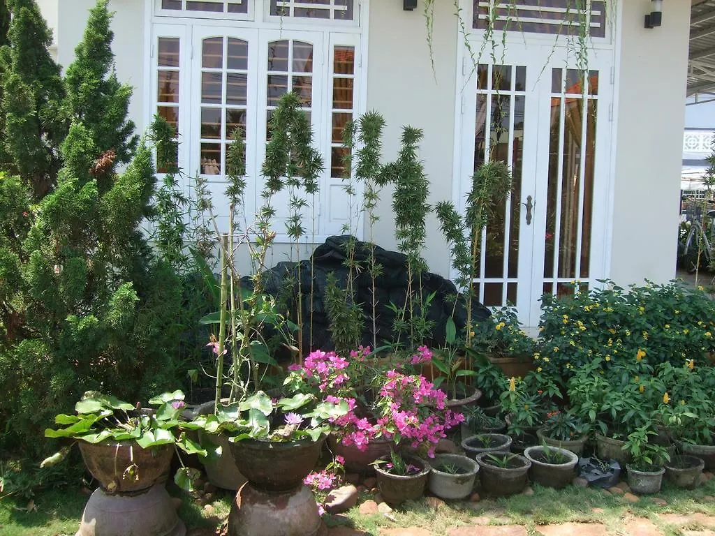 Skybird Homestay Hoi An Vietnam