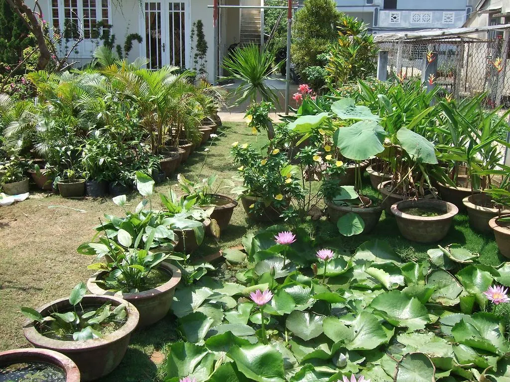 Skybird Homestay Hoi An Vietnam
