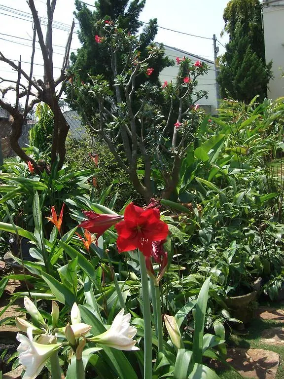 Skybird Homestay Hoi An